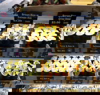 Sushi Paradise - Toowong - Accommodation Gladstone