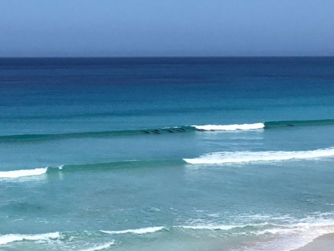 Beach Barista - Accommodation Gladstone 1