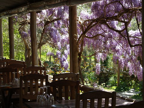 Skillogalee Winery & Restaurant - Accommodation Gladstone 2