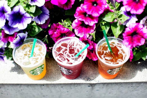 Starbucks - Hurstville - Accommodation Gladstone 0