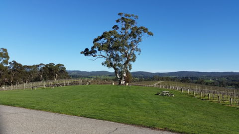 Nepenthe Wines - Accommodation Gladstone 0