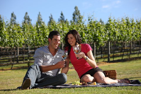 Nepenthe Wines - Accommodation Gladstone 1