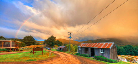 Hartzview Vineyard Heritage Pickers Hut Village - Accommodation Gladstone 0