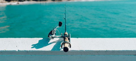 On The Inlet Seafood Restaurant - Accommodation Gladstone 2