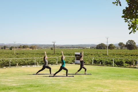 Calabria Family Wines Barossa - Accommodation Gladstone 1