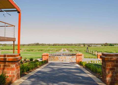 Calabria Family Wines Barossa - Accommodation Gladstone 2