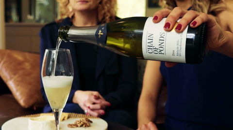 Adelaide Hills-Billies Cheese & Wine Tasting - Accommodation Gladstone 2