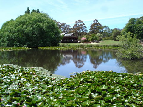 Christmas Hills Raspberry Farm Cafe - Accommodation Gladstone 1