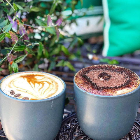 Who Shot The Barista - Accommodation Gladstone 0