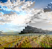 Fallen Giants Vineyard - Accommodation Gladstone