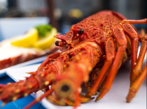 Freycinet Marine Farm - Accommodation Gladstone 0