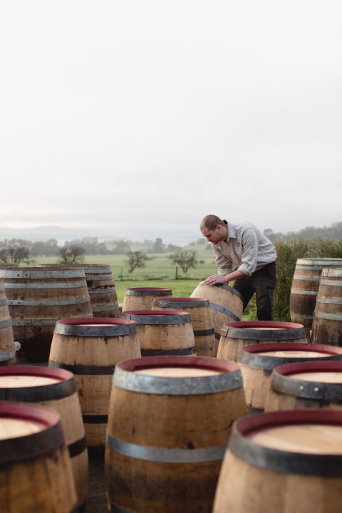 Lark Distillery - Accommodation Gladstone 2