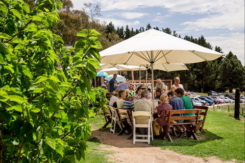 Anderson Hill Cellar Door - Accommodation Gladstone 2