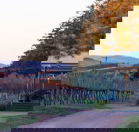 Rowlee Wines - Accommodation Gladstone