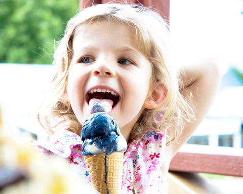 Kangaroo Valley Fudge House And Ice Creamery - Accommodation Gladstone 2