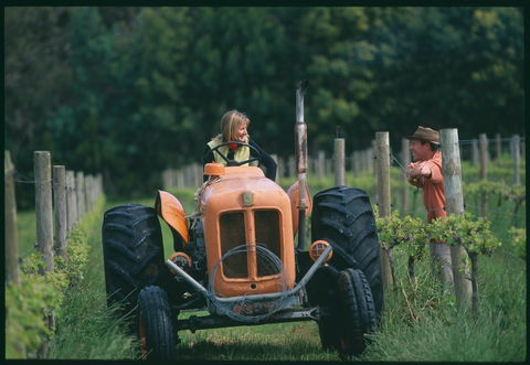 Oranje Tractor Wine - Accommodation Gladstone 0