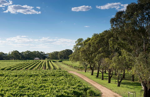 Bleasdale Vineyards - Accommodation Gladstone 1