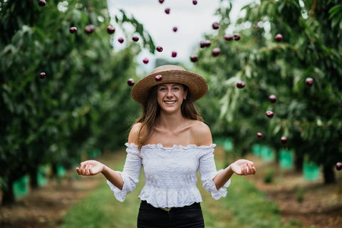 Cherryhill Orchards - Accommodation Gladstone 0