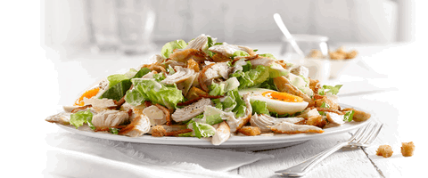 Sumo Salad - Success - Accommodation Gladstone 0
