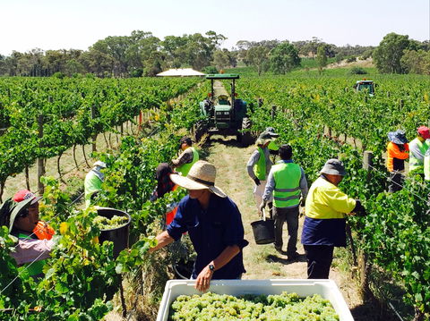 Grosset Wines - Accommodation Gladstone 1
