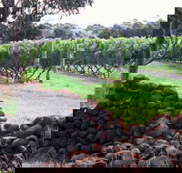 Spring Vale Vineyard - Accommodation Gladstone