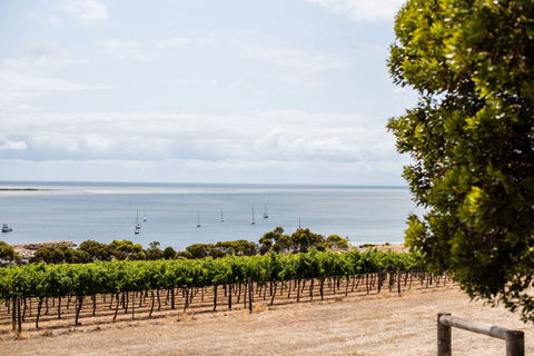 Bay Of Shoals Wines - Accommodation Gladstone 2