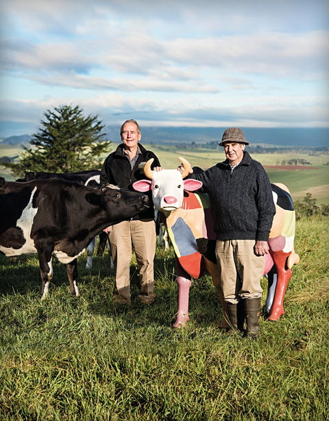 Ashgrove Farm Cheese - Accommodation Gladstone 1