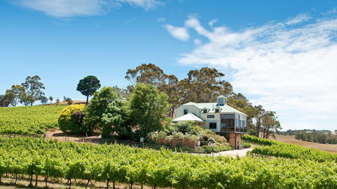 Hahndorf Hill Winery - Accommodation Gladstone 1