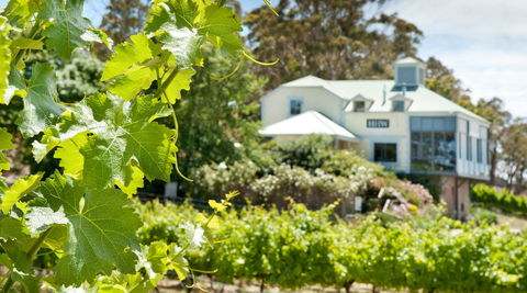 Hahndorf Hill Winery - Accommodation Gladstone 2