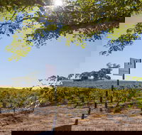 Hayes Family Wines - Accommodation Gladstone