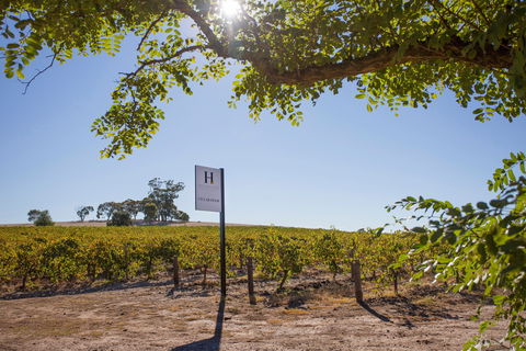 Hayes Family Wines - Accommodation Gladstone 0