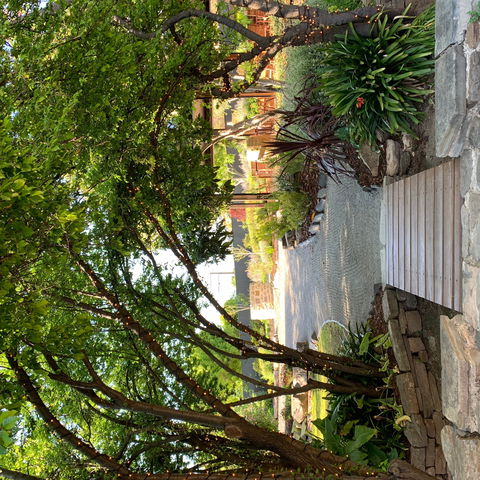 Velvet & Willow - Accommodation Gladstone 0