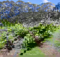 Woongooroo Estate Winery - Accommodation Gladstone