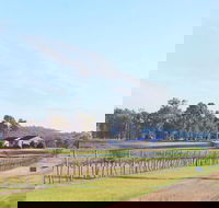 Blacklea Vineyard and Olive Grove - Accommodation Gladstone