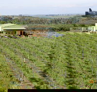 Dindima Wines - Accommodation Gladstone
