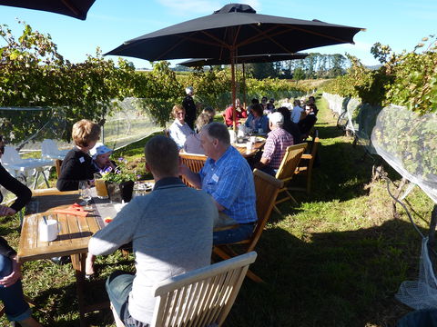 Dindima Wines - Accommodation Gladstone 1