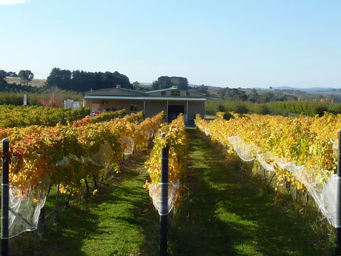 Dindima Wines - Accommodation Gladstone 2