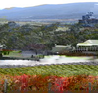 Milton Vineyard - Accommodation Gladstone