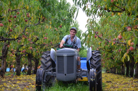 Darkes Glenbernie Orchard - Accommodation Gladstone 1