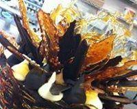 Daily Dose Cafe Wine Bar - Accommodation Gladstone 0