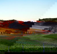 Dalwhinnie Wines - Accommodation Gladstone