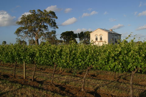 Highbank Vineyards - Accommodation Gladstone 0