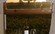Highbank Vineyards - thumb 1