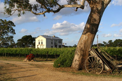 Highbank Vineyards - Accommodation Gladstone 2