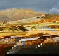 Optimiste Wines - Accommodation Gladstone