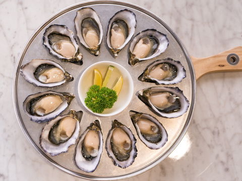 Tarkine Fresh Oysters - Accommodation Gladstone 2