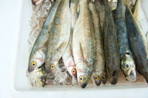 Peninsula Fresh Seafood - Accommodation Gladstone 2