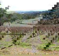 Habitat Vineyard - Accommodation Gladstone