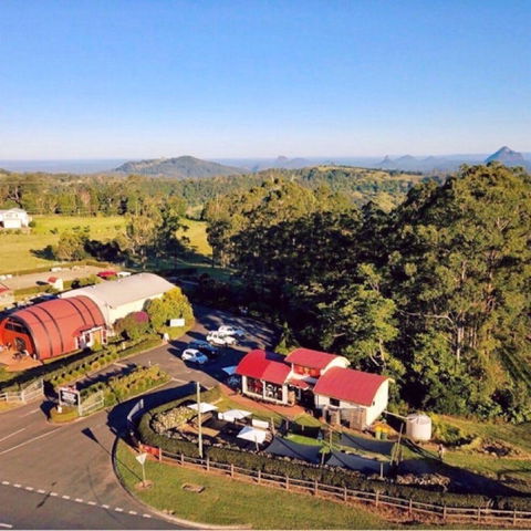 Live Foods Cafe - Accommodation Gladstone 0
