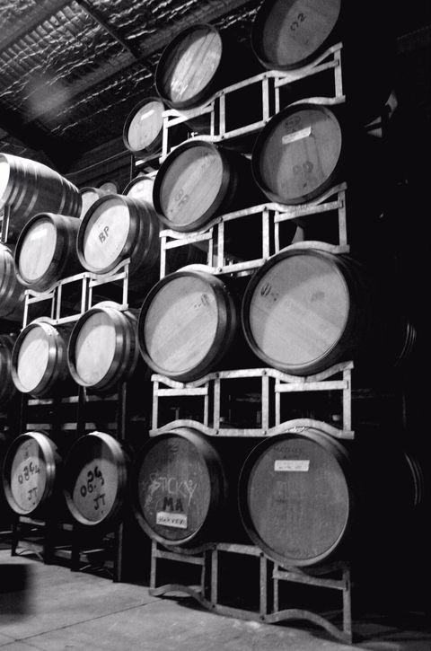Tertini Wines - Accommodation Gladstone 1
